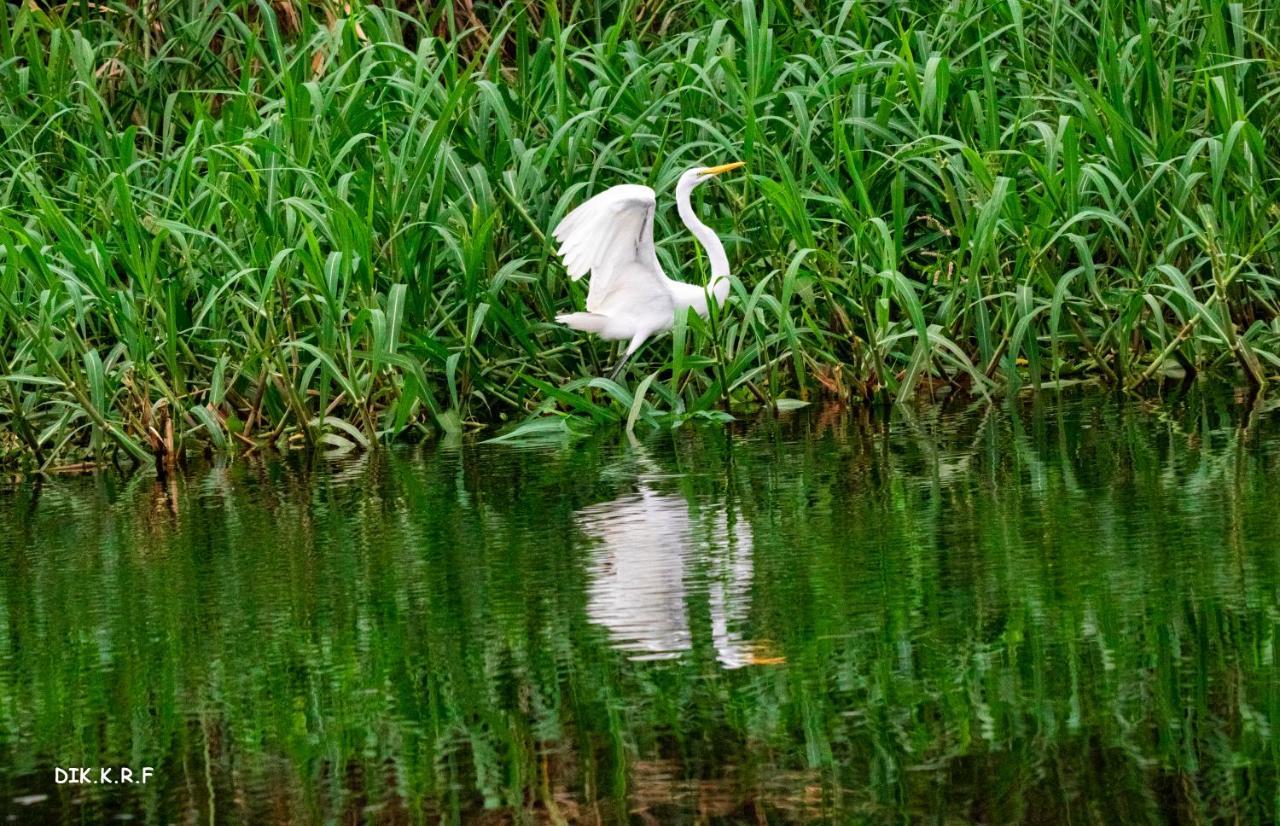 Pacaya Samiria Amazon Lodge Nauta Екстер'єр фото